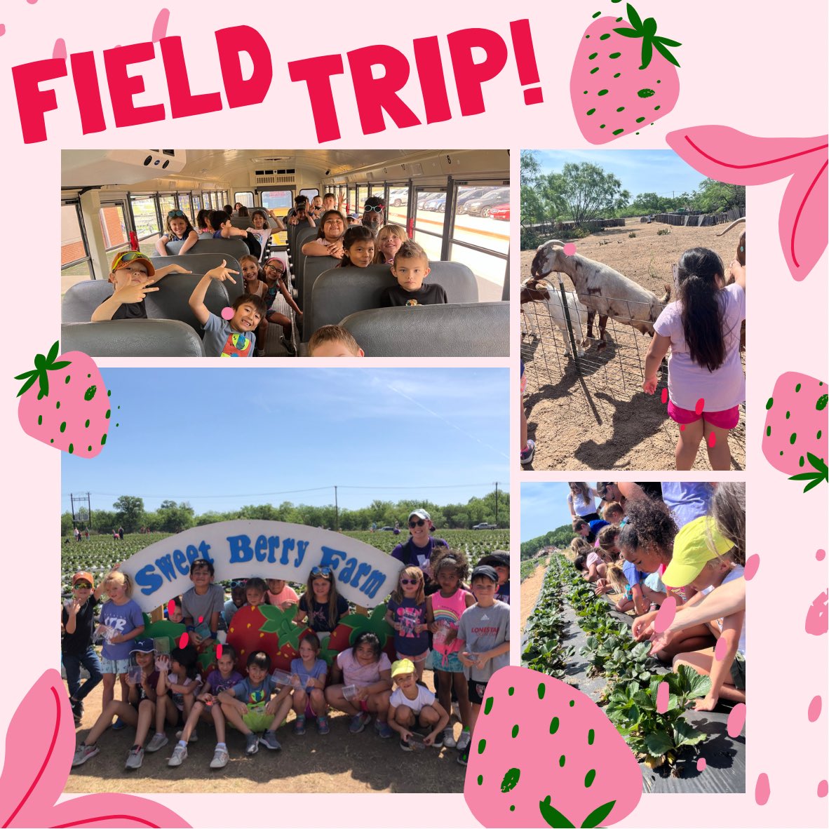 Stephanie Reese (@msreeseic) on Twitter photo We had a wonderful adventure at Sweet Berry Farms today! This was the kiddos first ever field trip! They loved riding the bus and feeding the goats! <a href="/Camacho_Elem/">Camacho Elementary</a> #FirstGrade We had a wonderful adventure at Sweet Berry Farms today! This was the kiddos first ever field trip! They loved riding the bus and feeding the goats! <a href="/Camacho_Elem/">Camacho Elementary</a> #FirstGrade