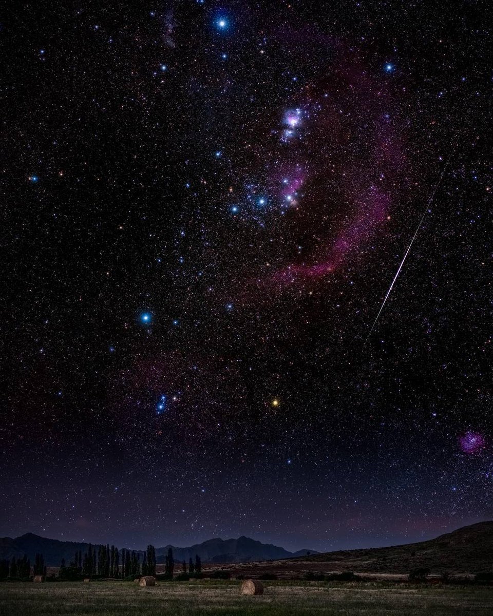 astrophotosnap's tweet image. Orion Constellation from Argentina during Geminid meteor shower.