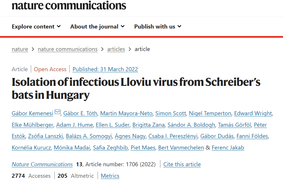 Tyson Lee Holmes 🇬🇮🦇🪶 tweet media