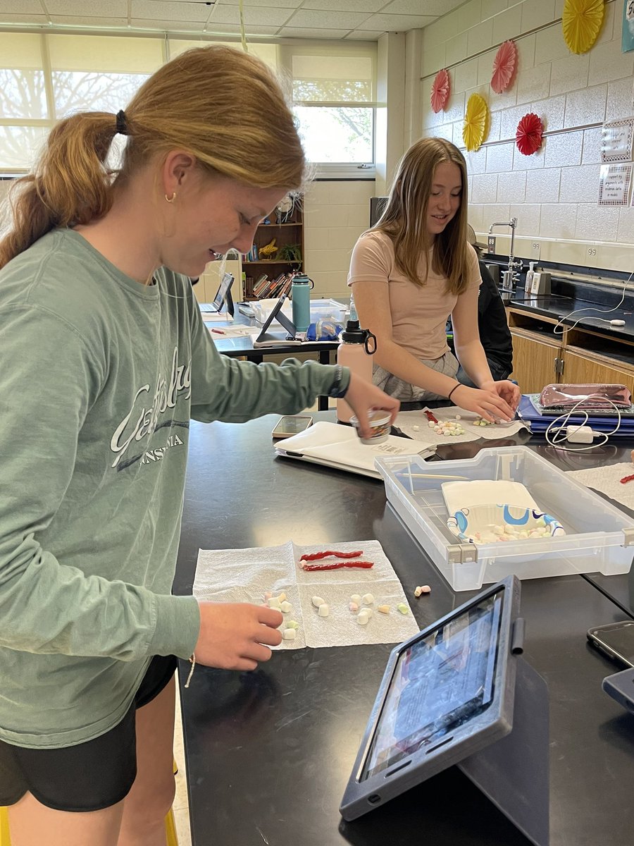 MrsMLombardo's tweet photo. @BeachMiddle Ss building DNA molecules given part of a nucleic acid base sequence. They have to solve for the remaining base pair. Then they devoured them, of course! https://t.co/RURmMU5zdg