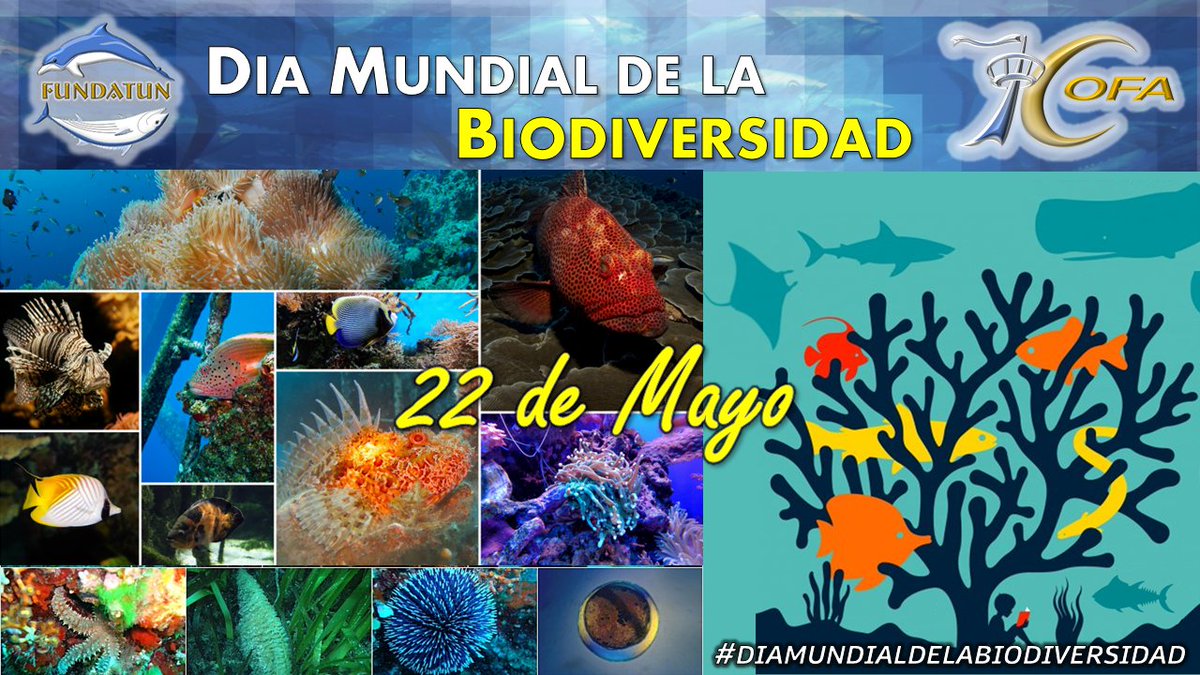 fundatun's tweet photo. #22May La Resolución 55/201 de @ONU_es instaura su celebración; entendiendo que la biodiversidad es la variedad de #plantas, #animales y #microorganismos #existentes (se incluyen variedades y razas), así como la variedad de #ecosistemas que albergan sus múltiples #interacciones. https://t.co/KvZE7Bq4O8