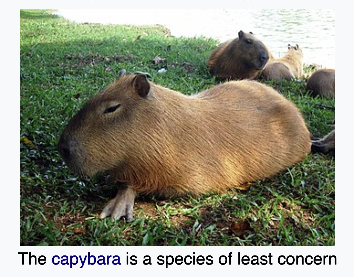 unbothered, in its lane, flourishing