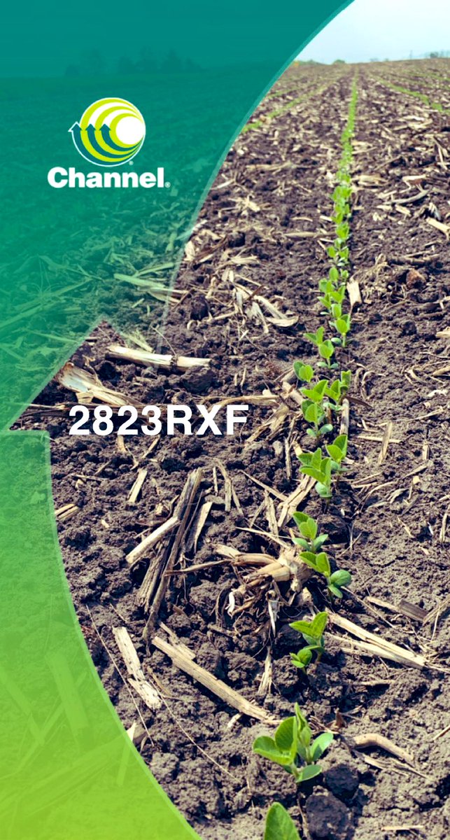 First day of emergence notes in progress!  2823RXF standing out this morning with early vigor and consistency in Woodford Co. planted 4/23.  This will be a solid late group 2 soybean for us in 2023 that will move well throughout N. IL #Bayer4IL <a href="/ChannelSeedNIL/">Channel N. Illinois</a>