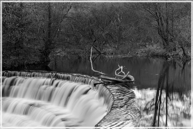 photos_dsmith's tweet photo. The #Weir at #Etherow park is a #fantastic sight along the #river, this #blackandwhite #image was shot using @TamronUK during the #spring. Some #driftwood is lodged on the waterfall adding to the #scene. See more of this #Cheshire #photographer at https://t.co/VilcfnO0ps https://t.co/CiW9EfwqAg