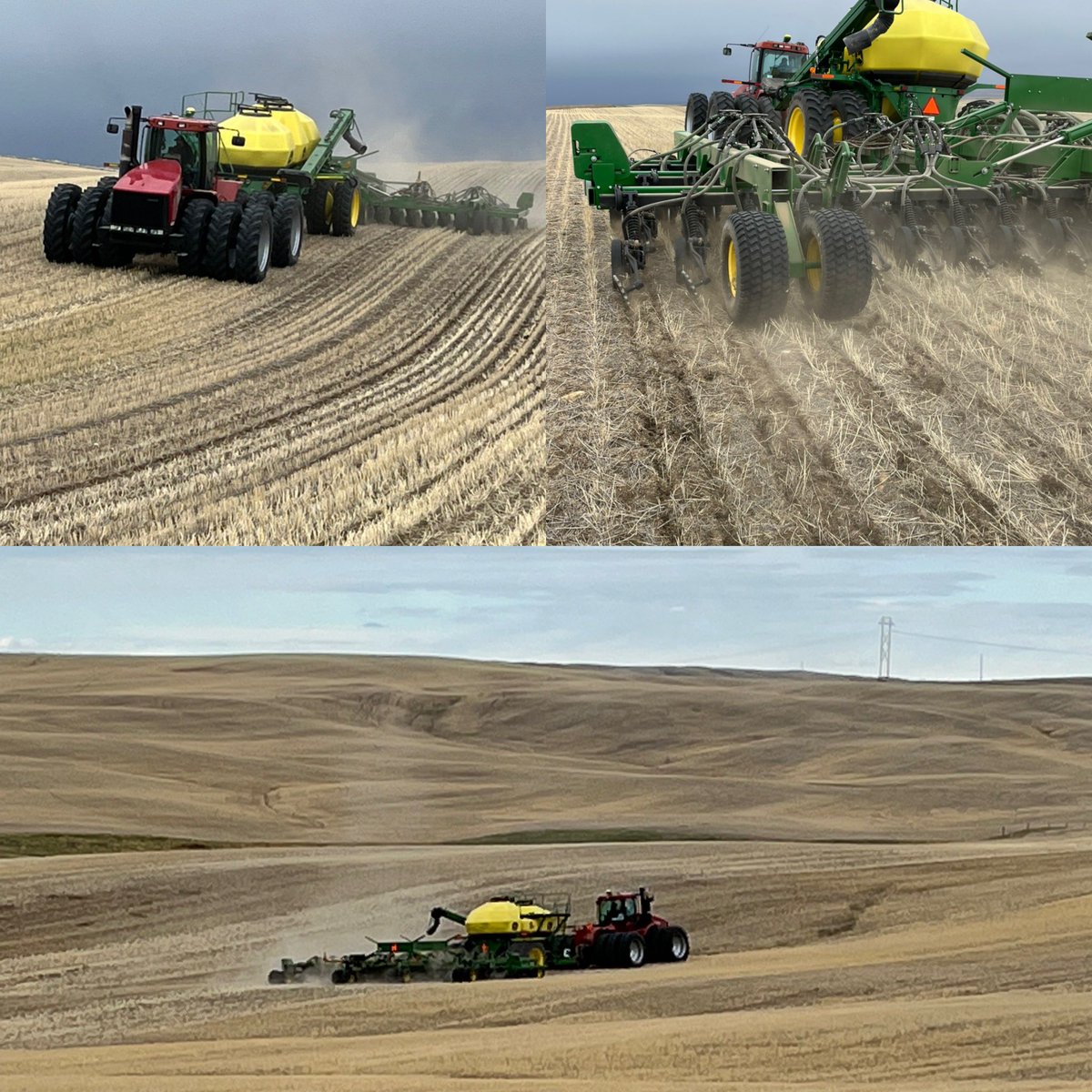 kache_miller's tweet photo. Seeding some Vavilov Siberian Wheat Grass today. #Plant22 #MillerSeeds #JD1895 doing a excellent job with the limited moisture we have. https://t.co/YpajB6s5fd