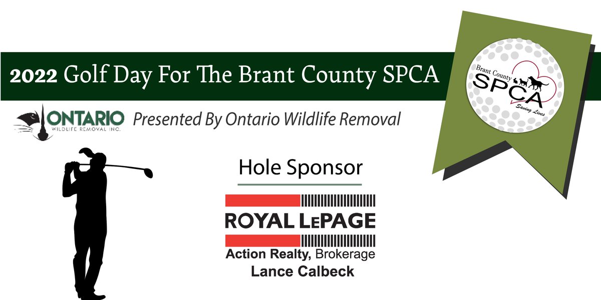 Brant County SPCA tweet media