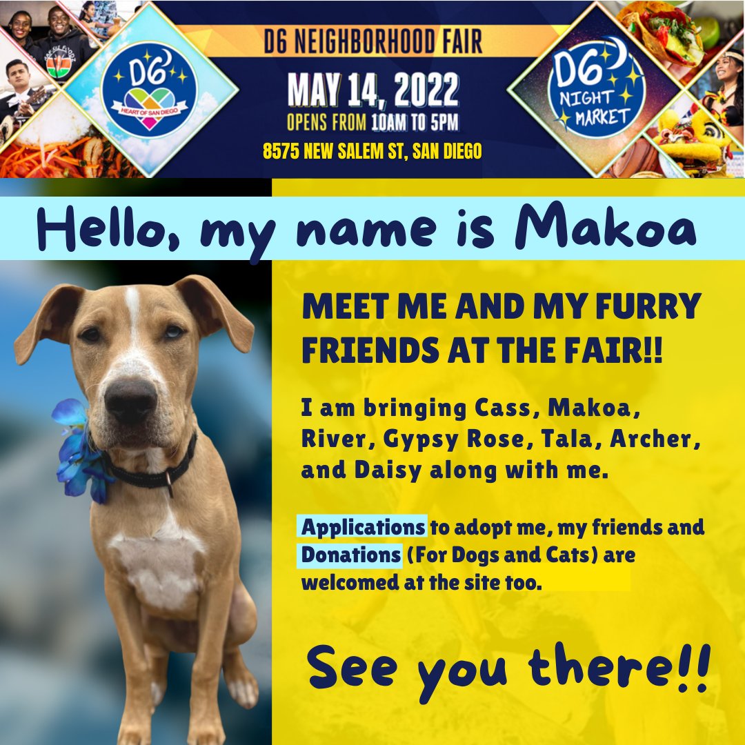 Pet Corner for Meet &amp; Greet at the D6 Neighborhood Fair - May 14 - mailchi.mp/d6nightmarket/…
