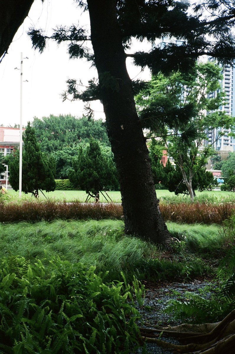 HuangChingHsuan's tweet photo. Kodak ultramax400 https://t.co/YJFKCVzr1D