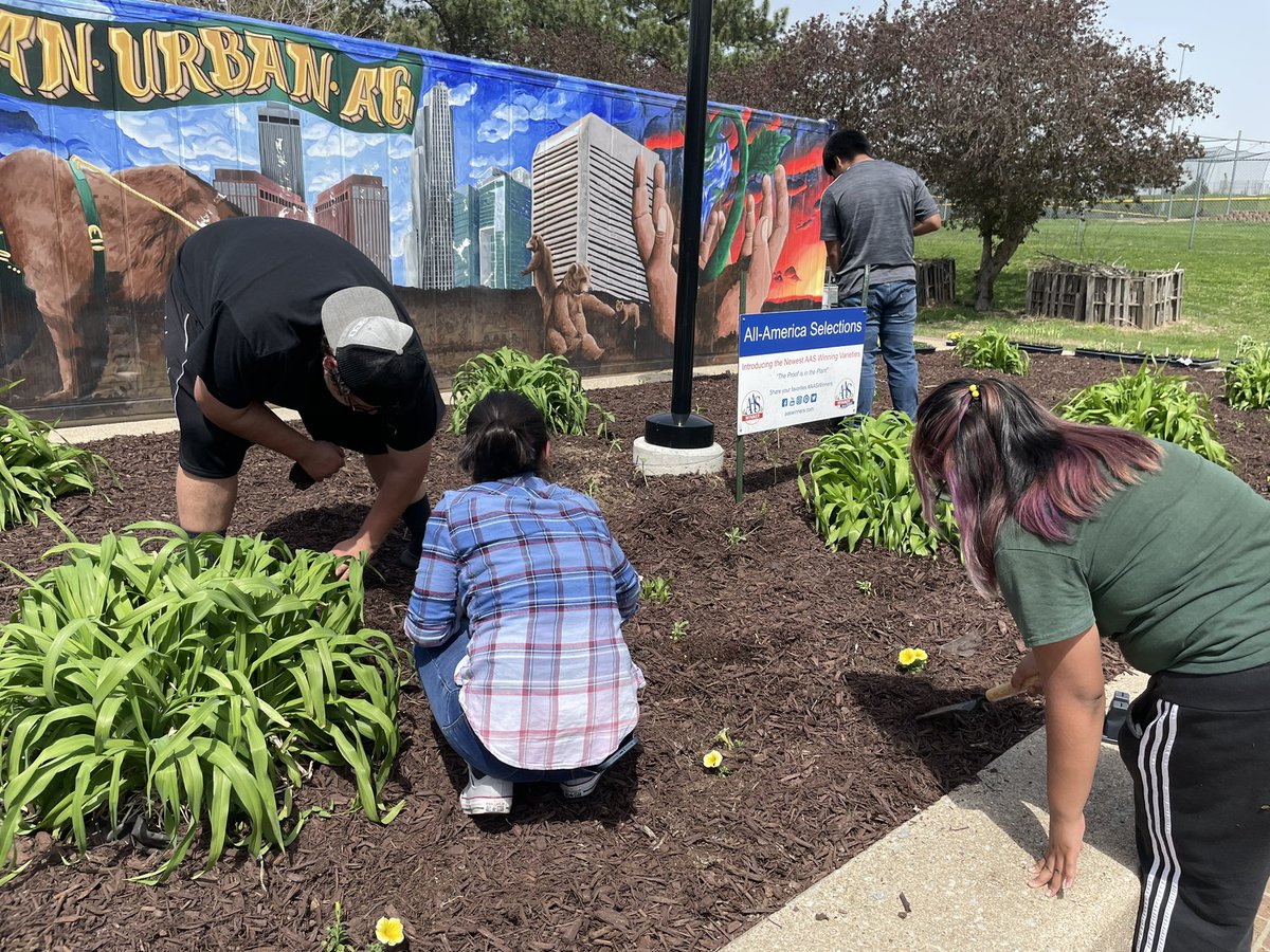bryanurbanag's tweet photo. Some senior students braved the heat this week to make their capstone garden designs a reality or to support and assist their friends with the work.  ☀️🥵💪#AgFam https://t.co/VSg9Wsq8u3