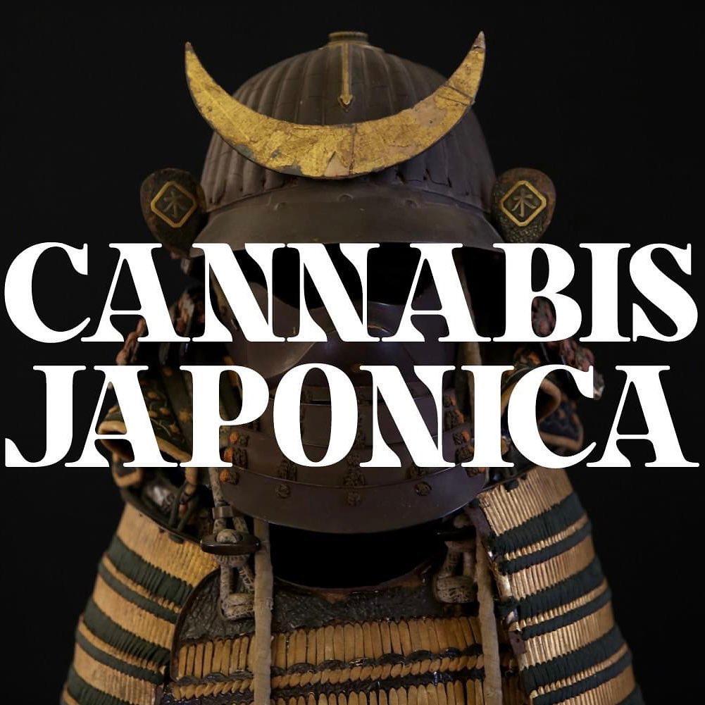 What do samurai, Shinto shrines, and Japanese children’s adventure stories all have in common? Uncover the history of Japan’s long and significant relationship with hemp in a new exhibition, Cannabis Japonica, at our museum in Barcelona.

大麻たいま

🖤🌿