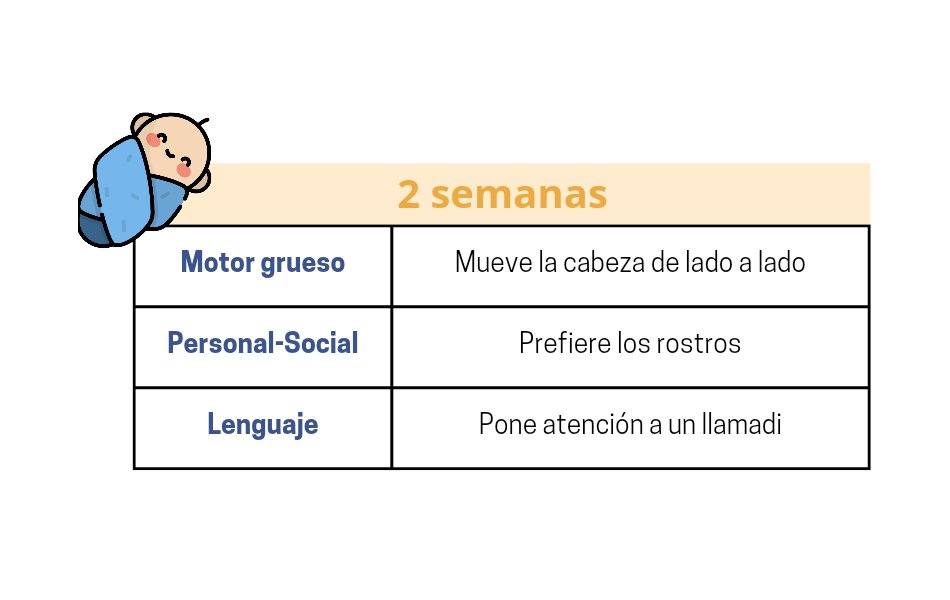 DatitosENARM's tweet image. SUPER HILO DE “HITOS DEL DESARROLLO” 🧵

#ENARM2022 #ENARM