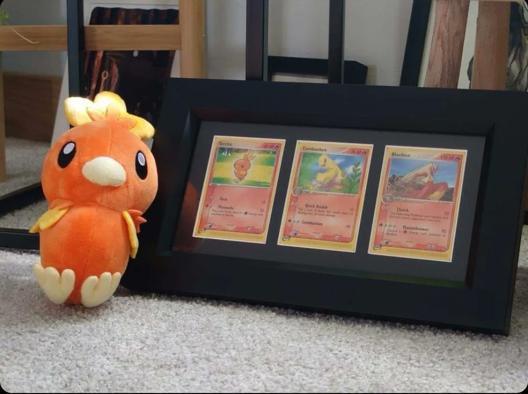 fabled_framing's tweet photo. Torchic was my first ever starter Pokémon when I played Pokémon Emerald! Was a delight to see this picture from @dokukudreams

#tradingcards #pokemoncards #PokemonTCG https://t.co/C3wSqec4b2