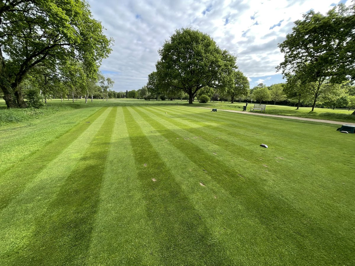 PGADannyJ's tweet photo. The Tees work we carried out @OltonGolfClub just over two weeks ago is showing great results ! Polypro doing it’s thing with help from the recent rainfall and temperatures! Course is really coming on now ⛳️ 🏌️‍♂️ https://t.co/bag5OQQtlR