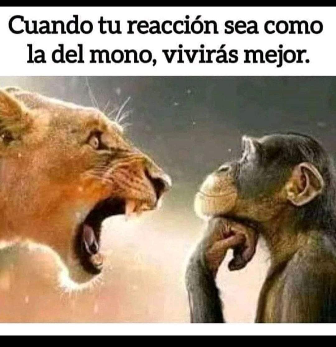 hellenbcn's tweet photo. O morirás al instante, diría yo... Pero bueno, tú adelante con tu parsimonia 🤗😆 #autoayuda #Motivacion https://t.co/YhBxeCZRrs