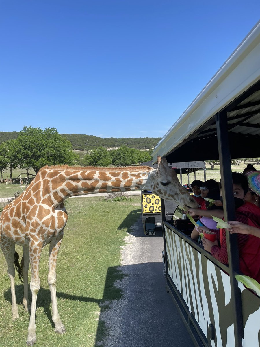 Having the best time already! <a href="/FossilRim/">Fossil Rim Wildlife Center</a>