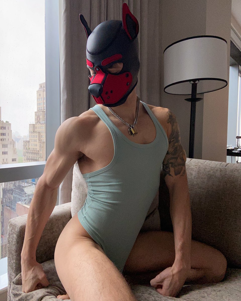 zanderwoodz's tweet photo. Love a comfy bodysuit ☺️🐾 https://t.co/1nXlNNglOL