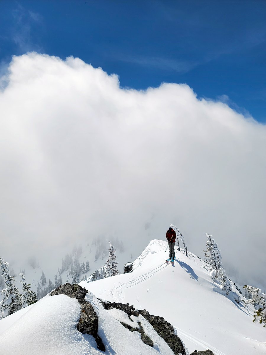 SnoqualmiePass's tweet photo. SR 410/Chinook &amp; SR 123/Cayuse update
➡️Another cool &amp; snowy week.
➡️The avalanche crew (finally) got a break in the weather to knock some slides down.
➡️MORE snow is in the forecast now through next week.
➡️150 inches of NEW SNOW since April 1.
New 📸: https://t.co/hS5xtdra7J https://t.co/odhxUMDeJd