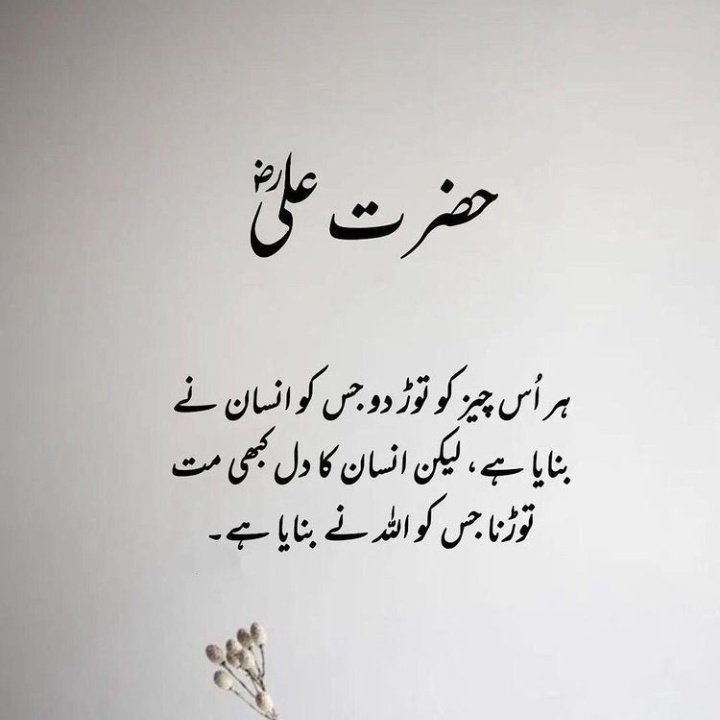 SamraIlyas8's tweet photo. 👌❤❤ https://t.co/becuMoBDLn