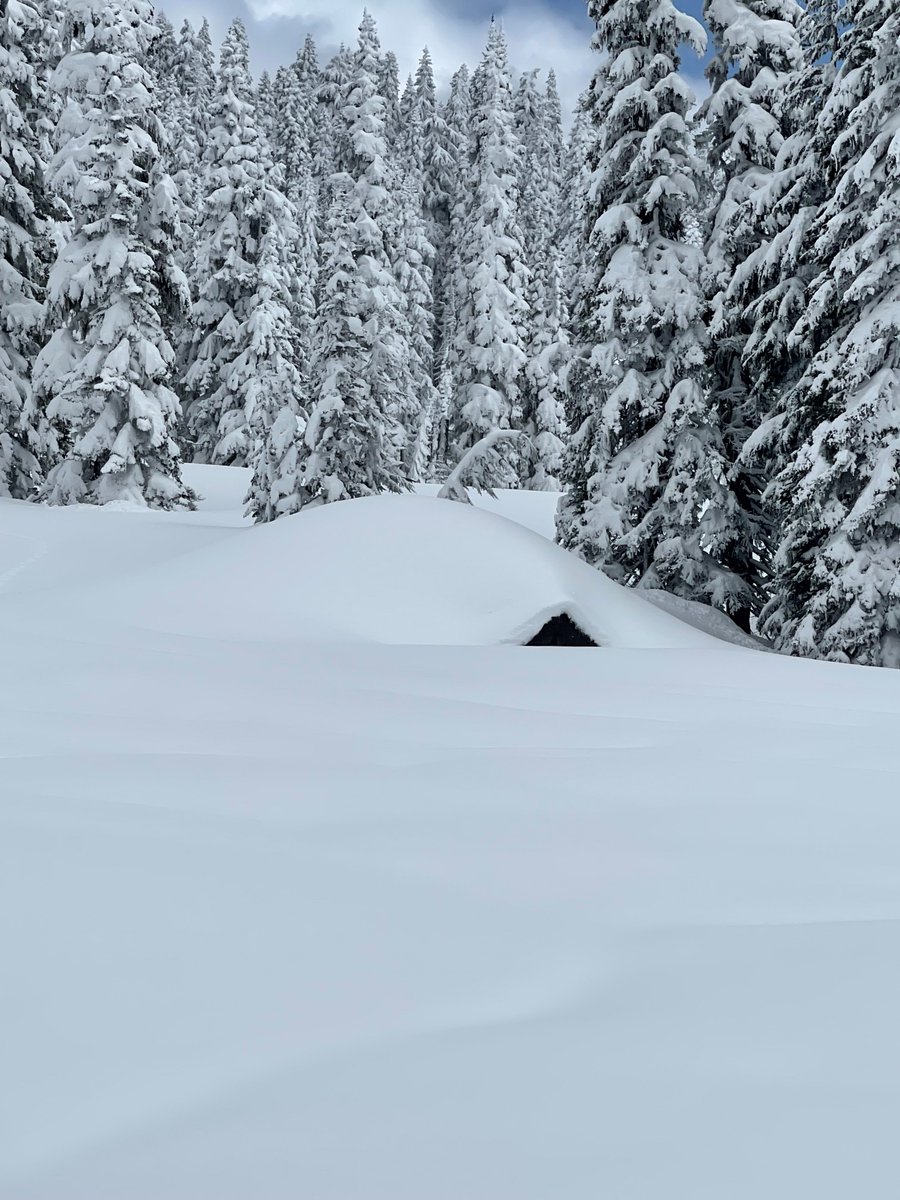 SnoqualmiePass's tweet photo. SR 410/Chinook &amp; SR 123/Cayuse update
➡️Another cool &amp; snowy week.
➡️The avalanche crew (finally) got a break in the weather to knock some slides down.
➡️MORE snow is in the forecast now through next week.
➡️150 inches of NEW SNOW since April 1.
New 📸: https://t.co/hS5xtdra7J https://t.co/odhxUMDeJd