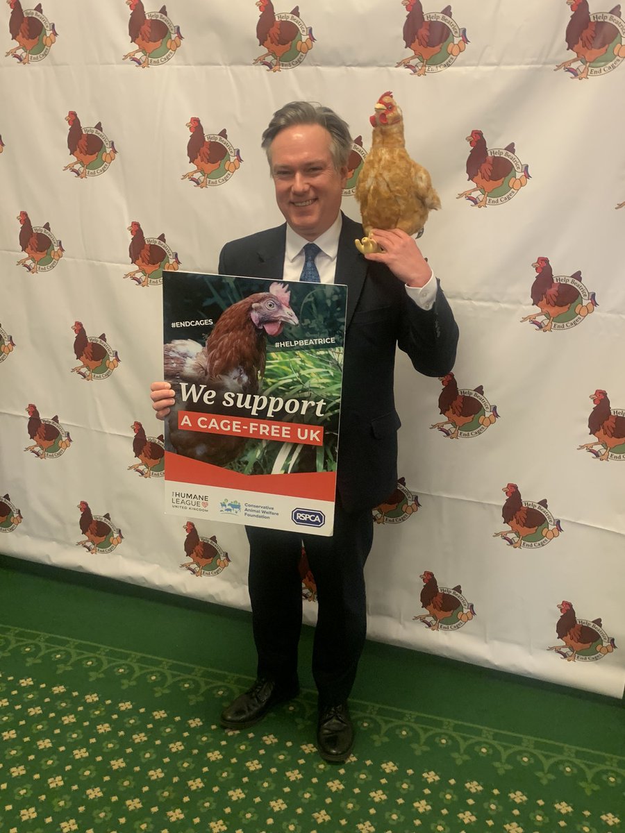 ConservativeAWF's tweet photo. We are delighted our Patron and champion of #BeatricesBill @HenrySmithUK has signed today's letter to the Government urging them to #ConsultOnCages . You can read the full letter here: https://t.co/GRZu6uFLVN End cages for laying hens
#HelpBeatrice https://t.co/LTQ5jup24u