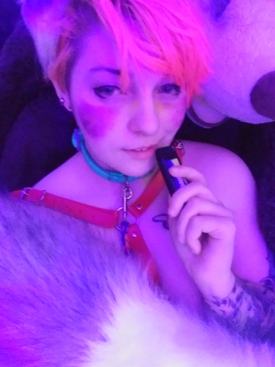 PsychedelicCor1's tweet photo. Felt cute so I did a shoot~
Wanna buy the set? Subscribe to my Onlyfans and I'll give you a discount ;)
#onlyfans #fox #cosplayer 

https://t.co/0WX2yJfXYZ https://t.co/dBlZAOnyrG
