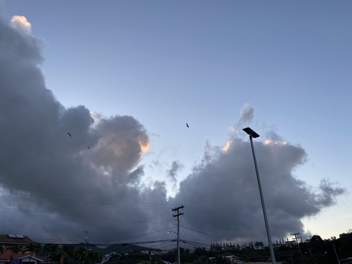 Aloha Kakahiaka Moanalua Middle, happy Thursday everyone, be safe out there… #mmsherd #808educate