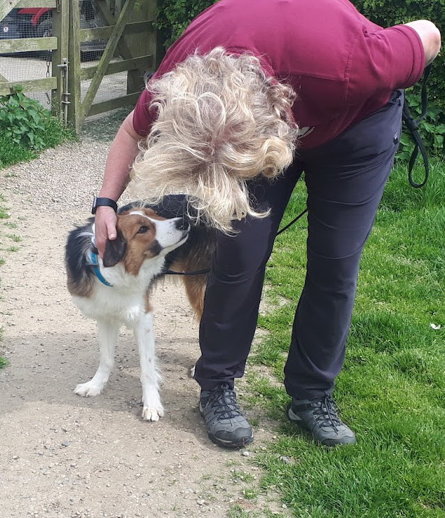 FOSTBCrescue's tweet photo. Time for a quick reassuring chat with nervous a nervous little rescue @FOSBTCrescue.
#rescuedogs #bordercollies #nervousdogs #dogtraining https://t.co/LHbg0GWwCS