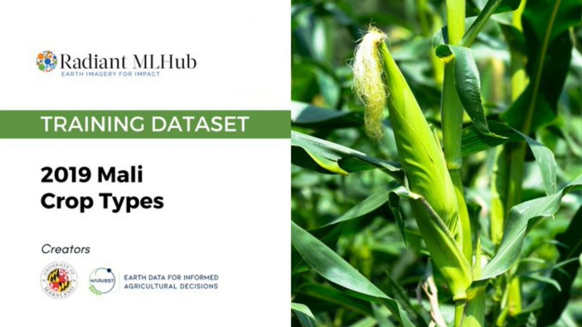 OurRadiantEarth's tweet photo. Available on #RadiantMLHub: 2019 Mali #CropType Training Data from our friends, @NASAHarvest!
This open-access dataset includes crop type labels w/ a time-series of #Sentinel imagery during the growing season. Ground reference data collected via @getodk
🔗https://t.co/rLrly1RIBy https://t.co/J7qkp1YFqk