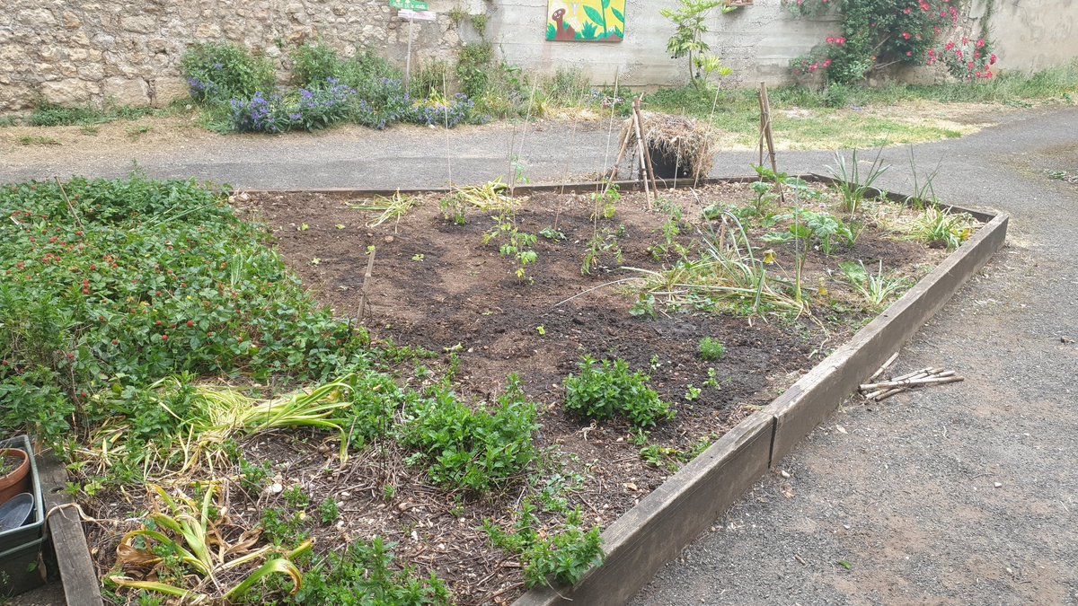 aps_paulblet's tweet photo. Aujourd'hui le jardin reprend vie à Paul Blet avec les plantations des enfants du périscolaire avec l'animateur Lucas.
Les nouvelles odeurs qui sentent bon l'été !! 😁 https://t.co/pVGeeS85nc
