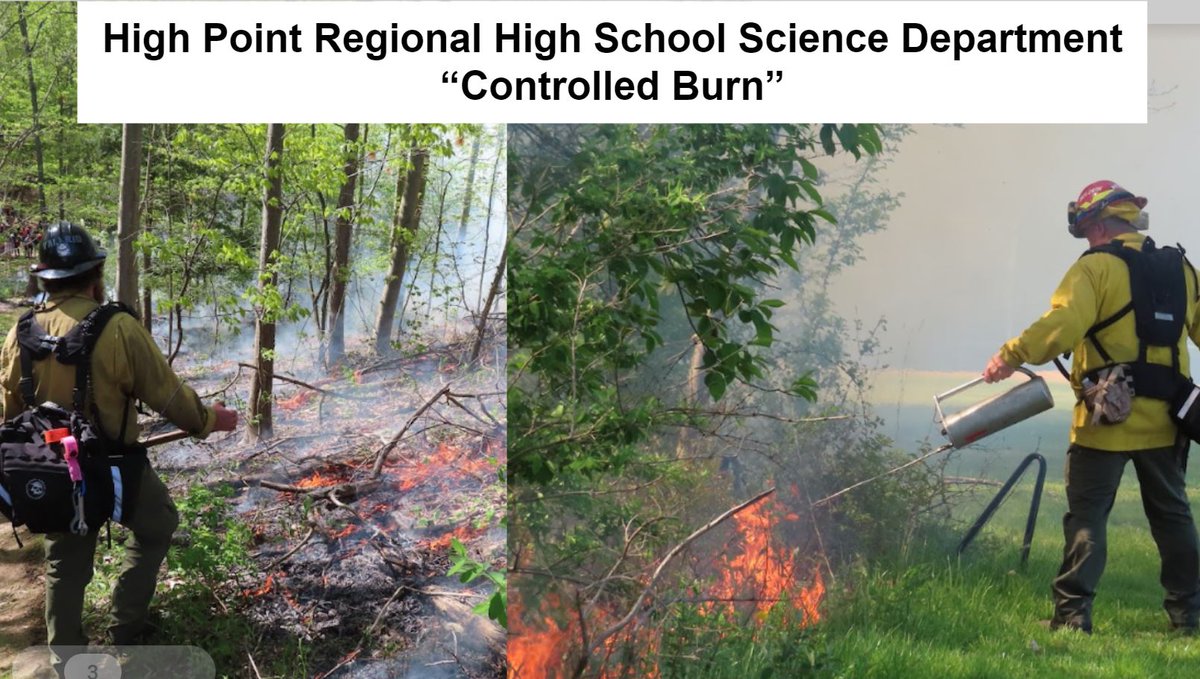 Seamus Campbell tweet media