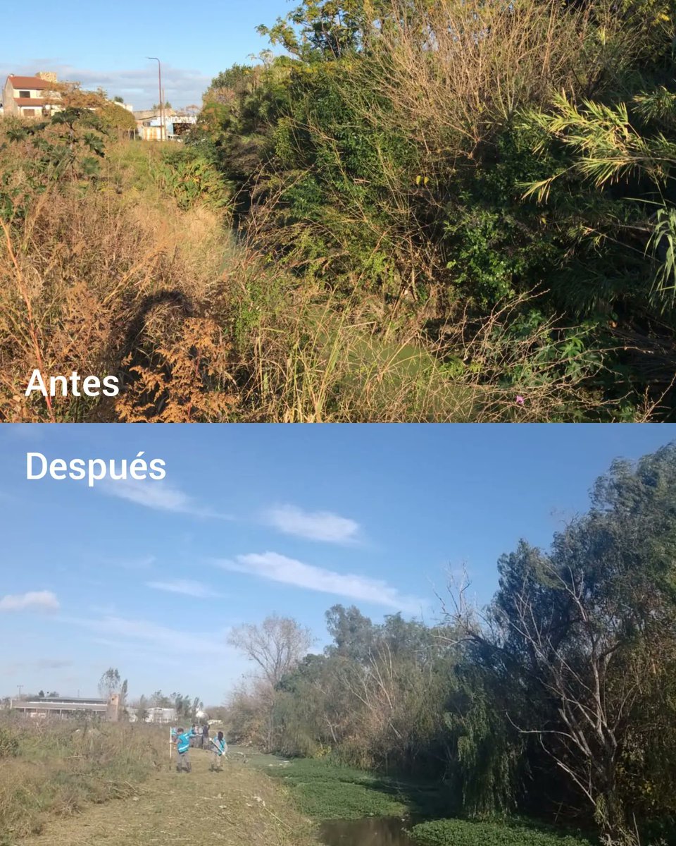fecoopba's tweet photo. 👉🏾Operativo de limpieza en La Plata.
@MInfraPBA 
@Nardini_Leo 
@Guille_jelinski 
@RoberCentomo 
@PabloBalorDesca https://t.co/lSWVFJR113