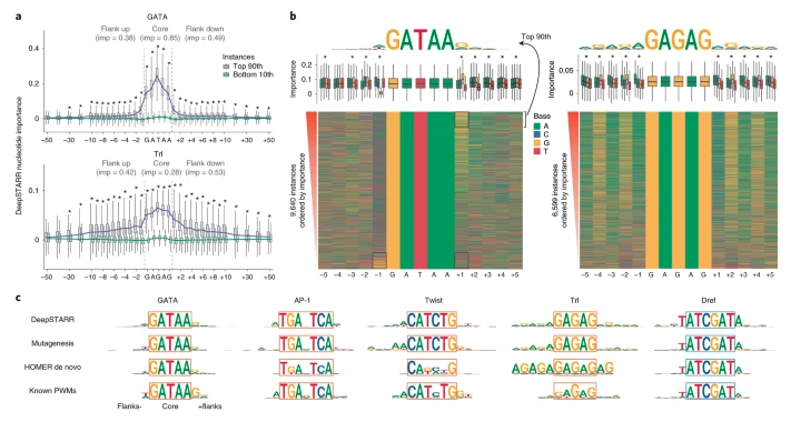 DeepSTARR predicts enhancer activity from DNA sequence and enables the de novo design of synthetic enhancers (de Almeida et al.) ow.ly/8KvA50J6vPE <a href="/deAlmeida_BP/">Bernardo Almeida</a> <a href="/reiterfanny/">Fanny Reiter</a>  <a href="/AlexanderStark8/">Alexander Stark</a>