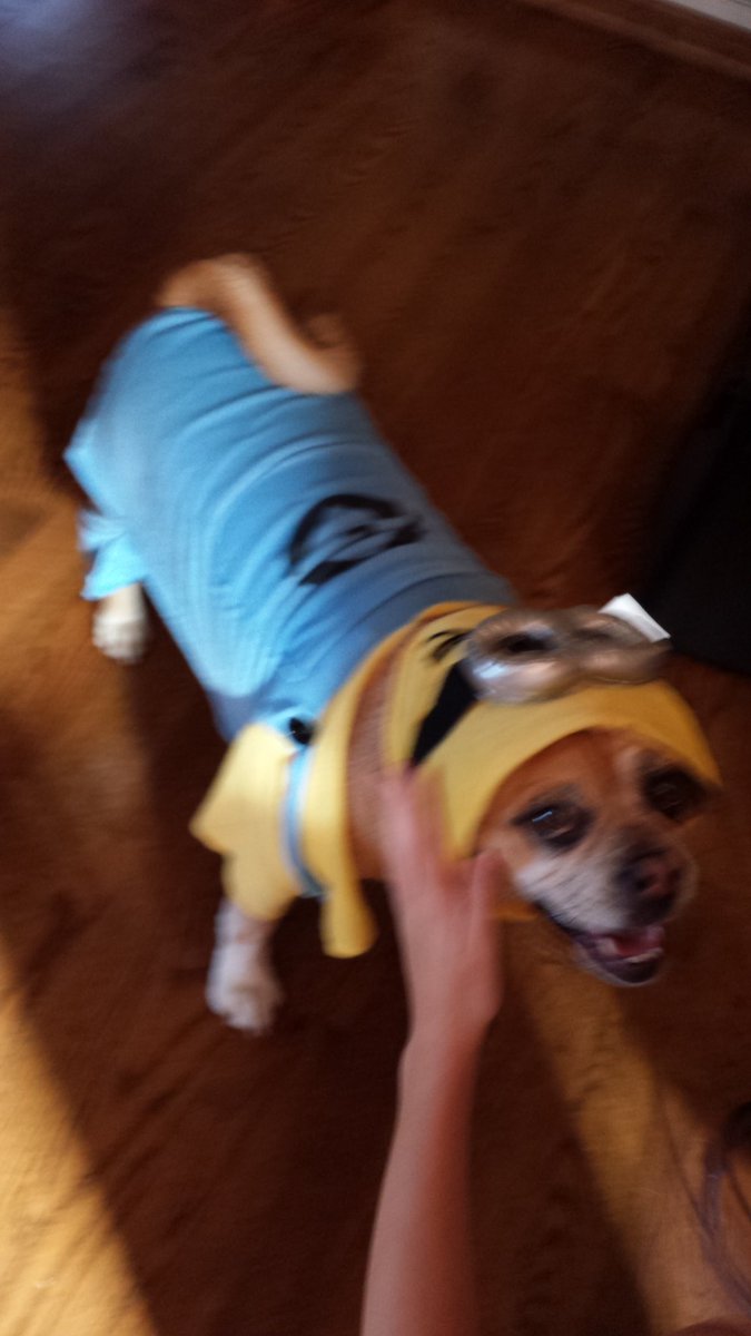 Master Blasters tweet media