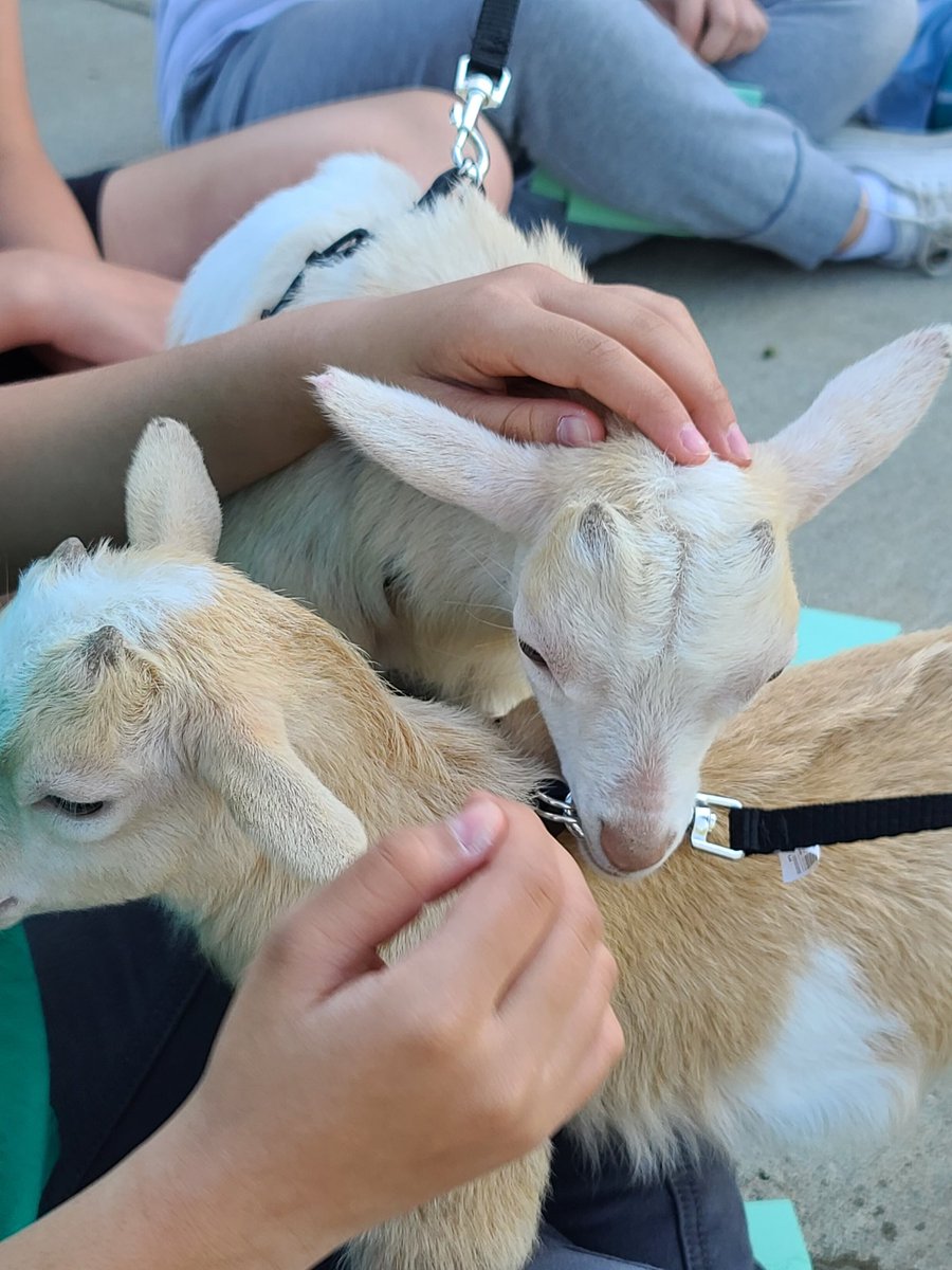 TheMsFerg's tweet photo. What a wonderful start to our day! We have special interest clubs at Berry and mine is a love of animals! Thank you for all who made this possible today ❤️ 😍 @MrsMartin_BIS https://t.co/rouPTR7Kri