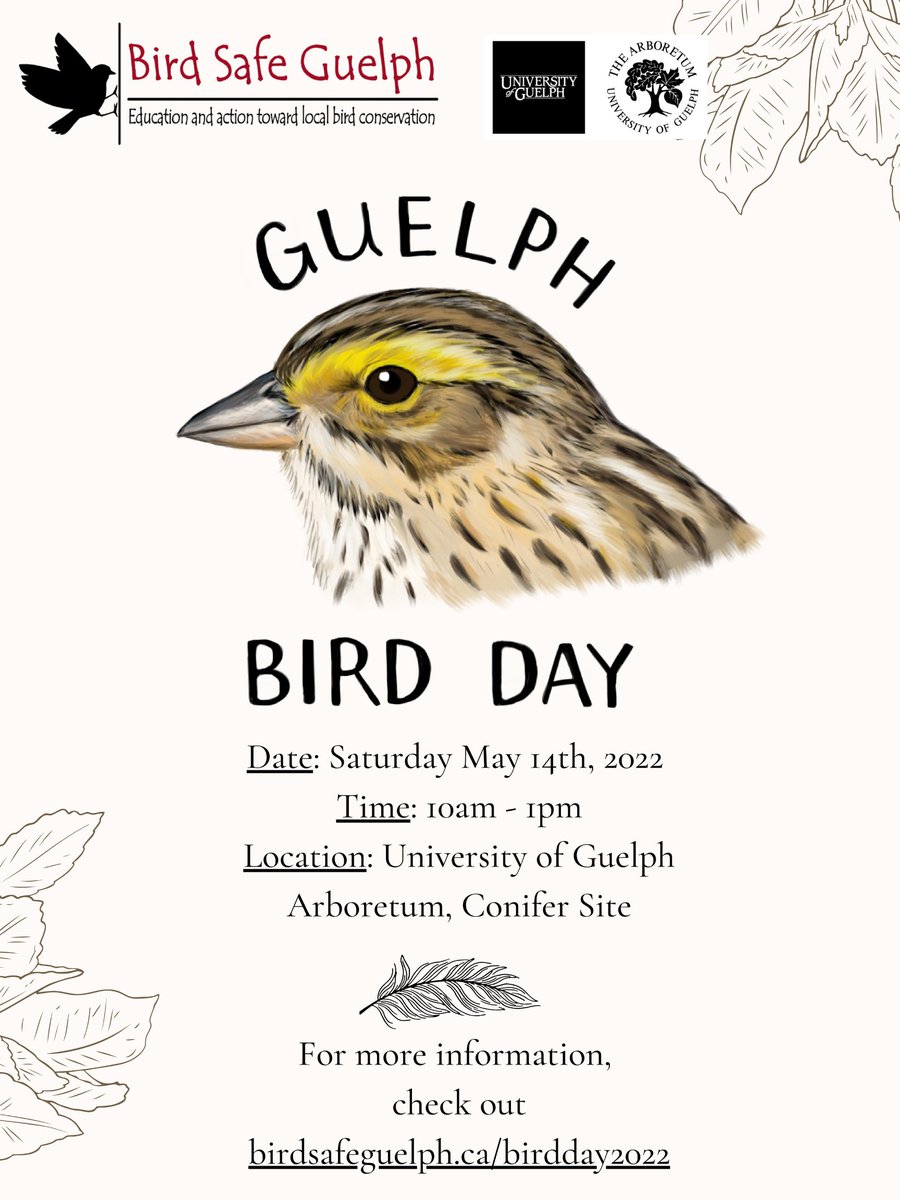 Bird Safe Guelph (@birdsafeguelph) / Posts / X