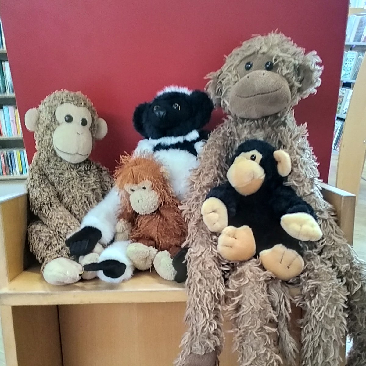 WallingfordLib's tweet photo. We're planning mischief for Rhyme Time! Why not join us at 10 o'clock tomorrow 🐵🙈🙉🙊🐒 https://t.co/14SMuvxzqZ