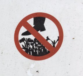 Bitte sich nicht über dem Blumenbeet erhängen.