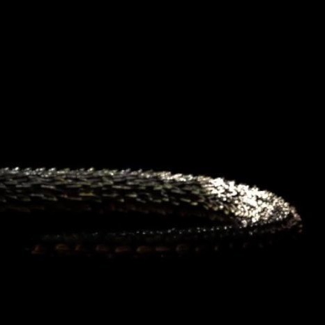 folktay13's tweet photo. A decade of good luck if you claim your favorite song from reputation by Taylor Swift. https://t.co/FPieh79kg8