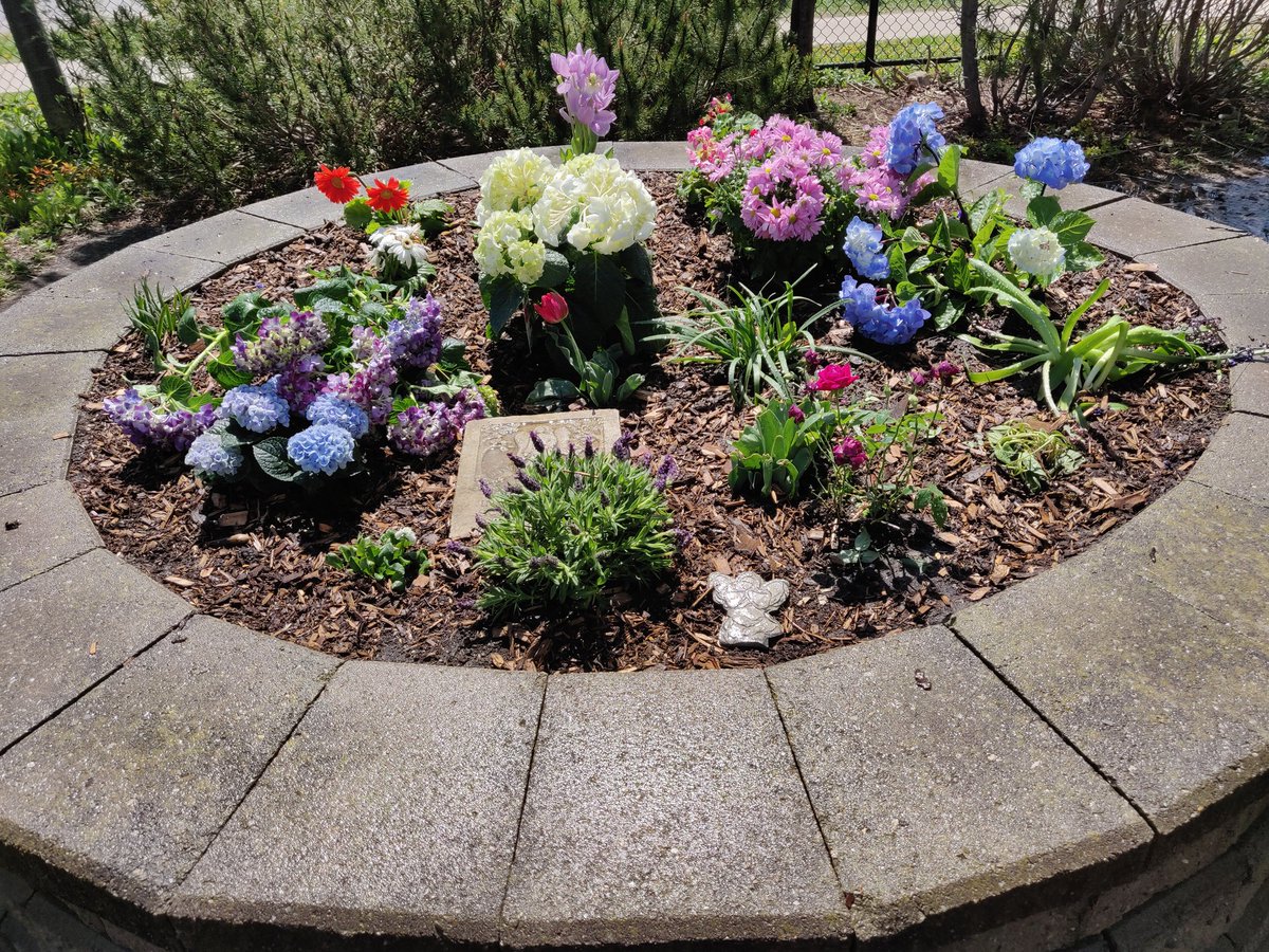 dpbrnrd_eco's tweet photo. Today our @StBernardDPCDSB Eco Team spent time planting in the peace garden! Thank you grade 2 families for donating beautiful flowers that will bloom year after year! 🌷 https://t.co/oOjkc6CF7a