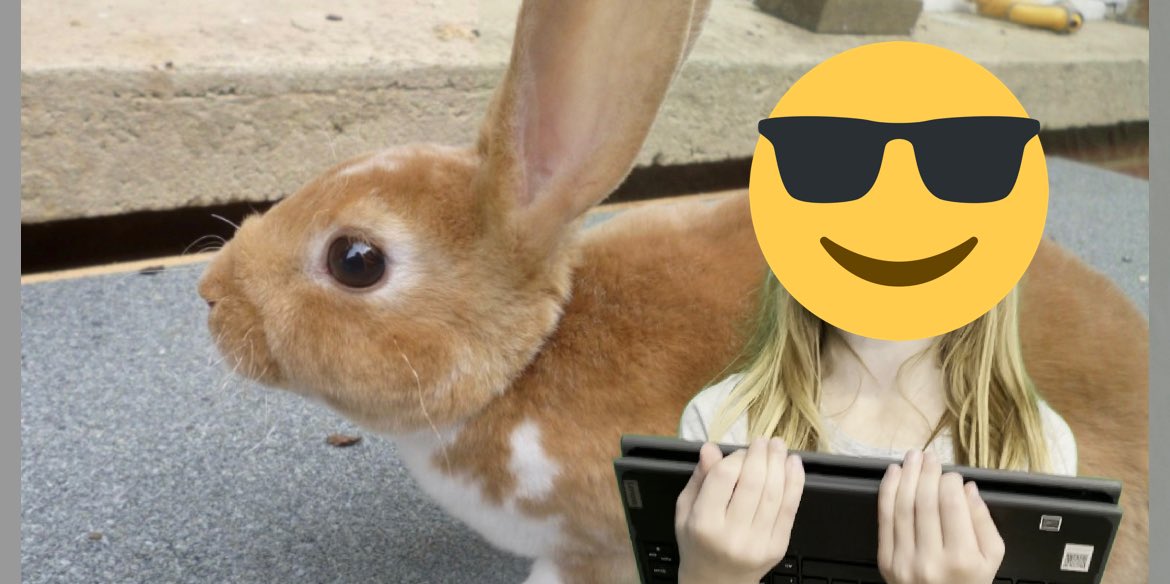 Finishing up our green screen poetry in second grade was fun and had our students researching, being creative, growing tech skills and sharing their work. That was a lot! <a href="/CenterGroveES/">Center Grove</a>