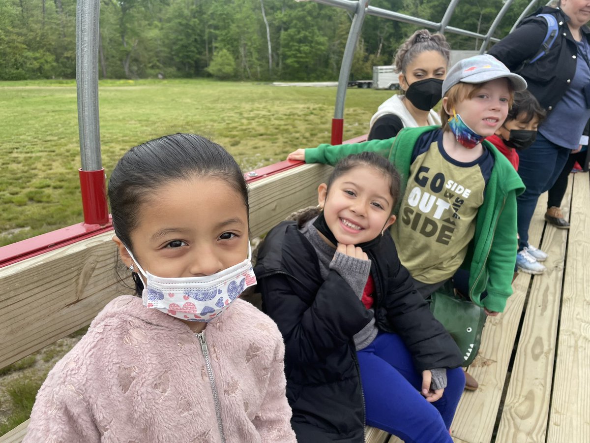 MsMatticks's tweet photo. A very successful trip to the farm with kindergarten this morning! We learned about the life cycle of plants and picked our own strawberries, what a dream! 🍓 https://t.co/1iiAlIyvIK