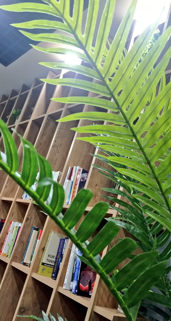 Şurama batan diyor şair özlem demeselerdi bıçak derdim.

#Persembe 
#WhatsApp