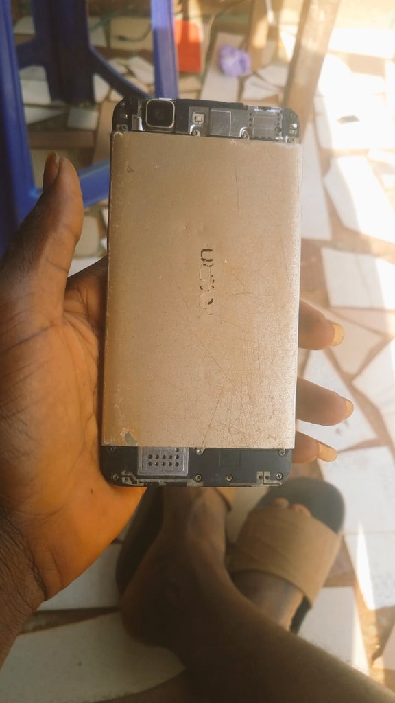 Clement Excel Mindfrey tweet media