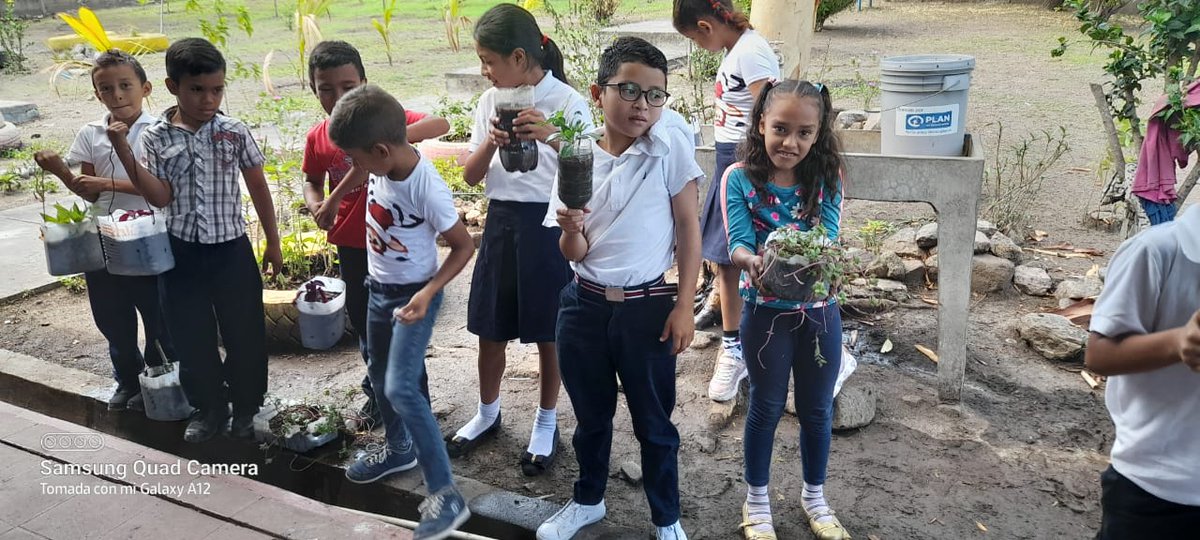 Elaboración de jardín en centro escolar Francisco morazan