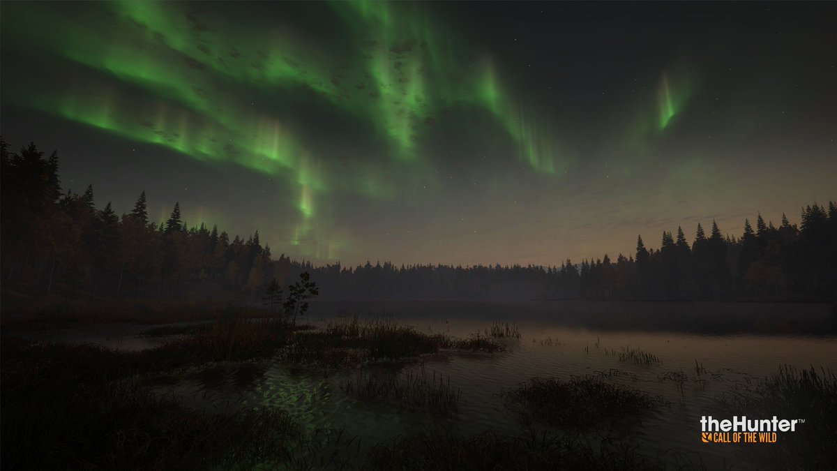 TheHunter: Call Of The Wild has gorgeous scenery