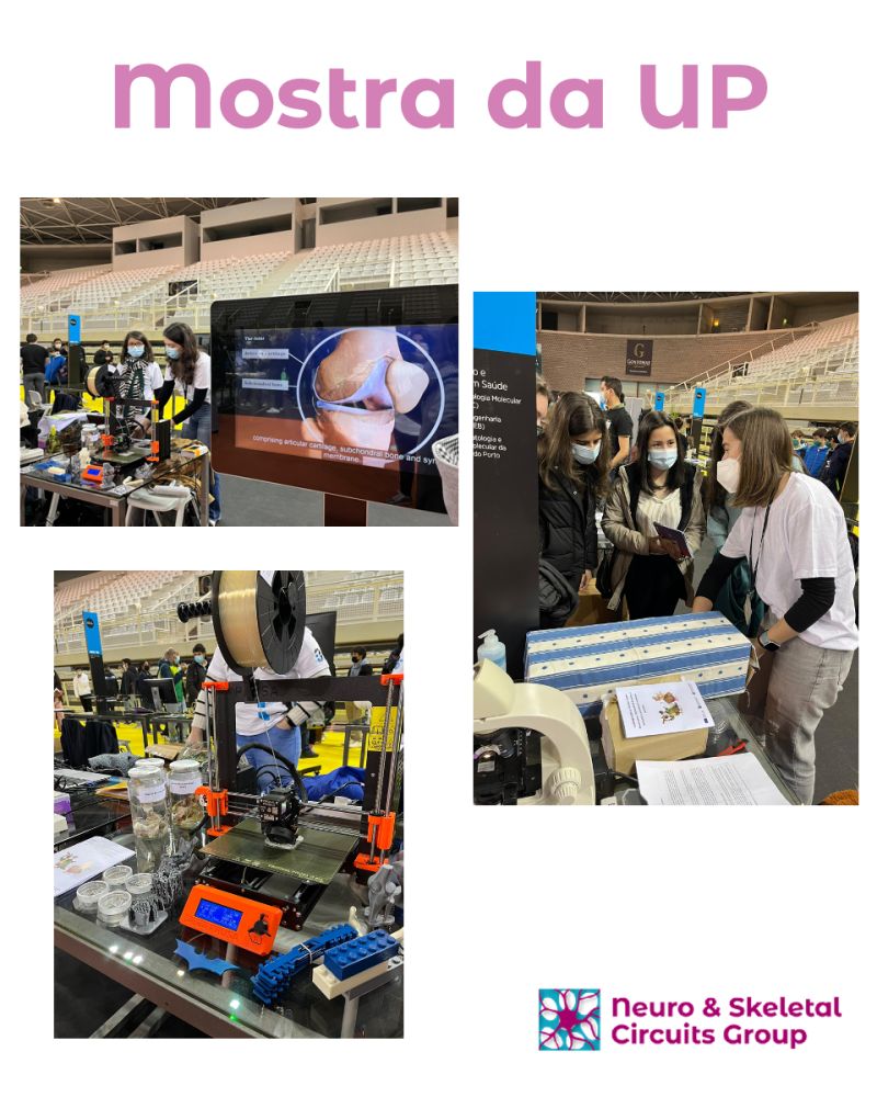 nesk_group's tweet photo. We were at Mostra da Universidade do Porto 2022! Many of our team members were present to exhibit the projects we're involved (PREMUROSA, BonePain II and FLAMIN-GO Project). Happy to share our personal experiences with students! #mostraup #nesk #bonepainII #flamingo #premurosa https://t.co/RduiihhcrK