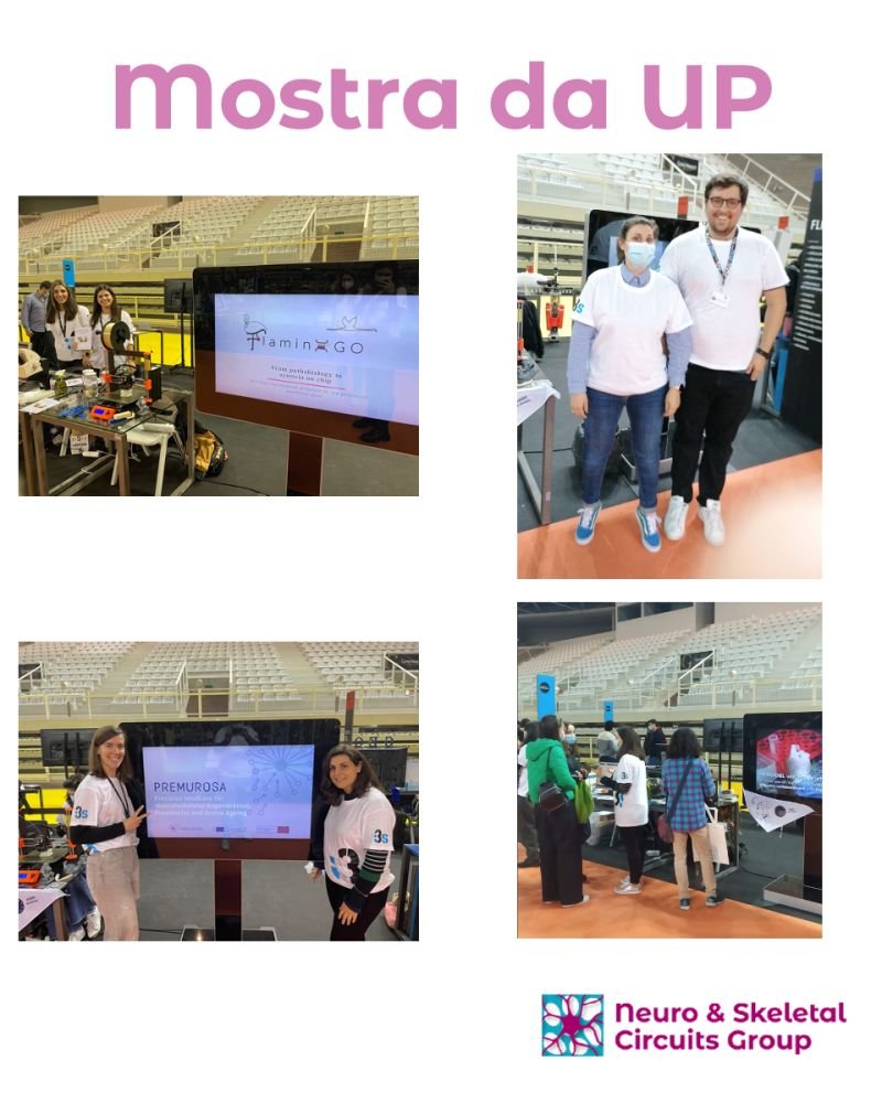 nesk_group's tweet photo. We were at Mostra da Universidade do Porto 2022! Many of our team members were present to exhibit the projects we're involved (PREMUROSA, BonePain II and FLAMIN-GO Project). Happy to share our personal experiences with students! #mostraup #nesk #bonepainII #flamingo #premurosa https://t.co/RduiihhcrK