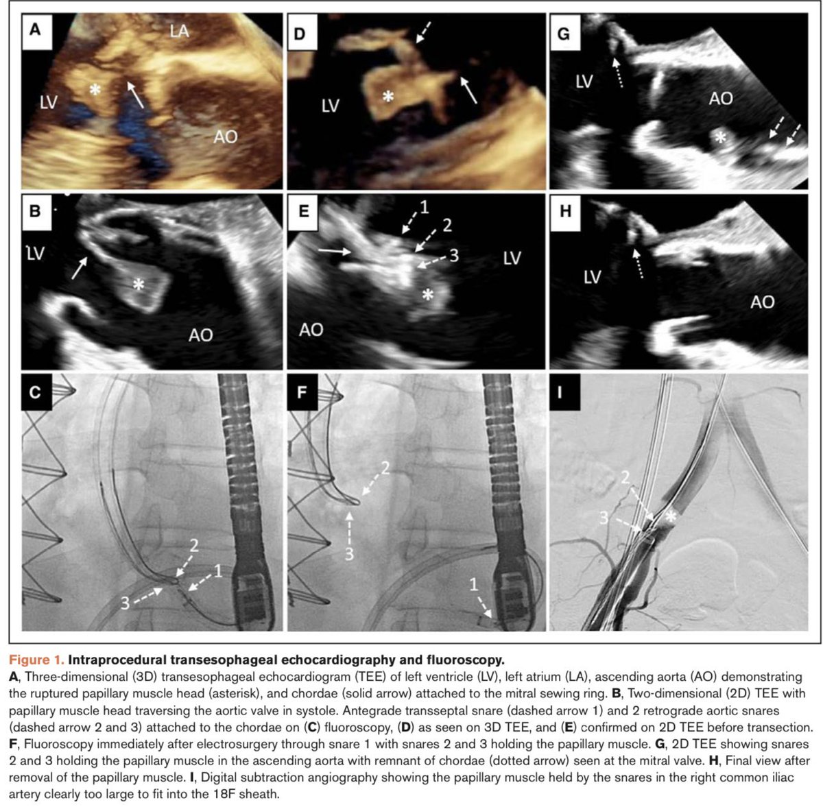 Michael Bode tweet media