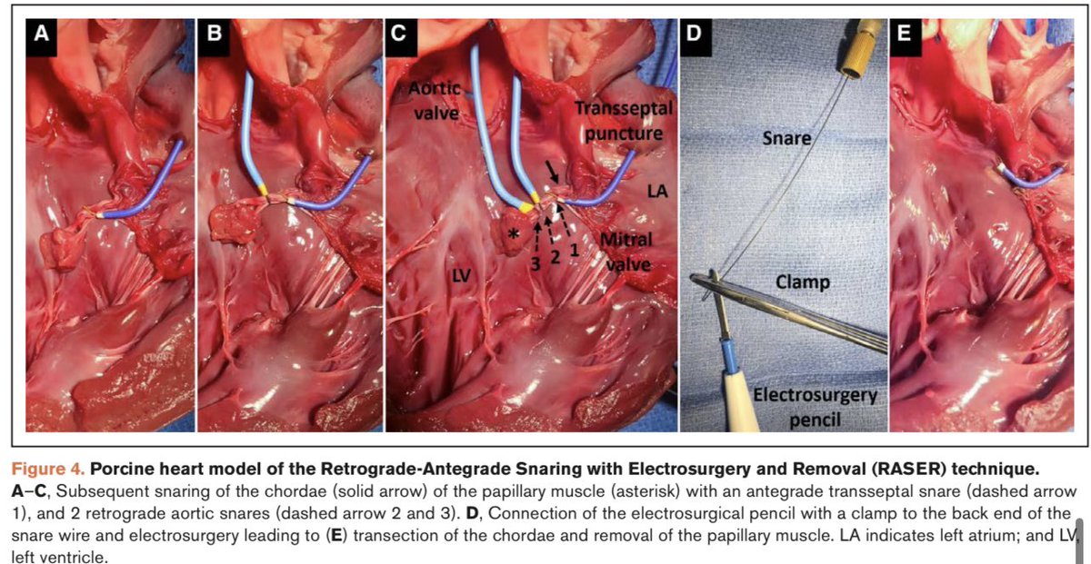 Michael Bode tweet media