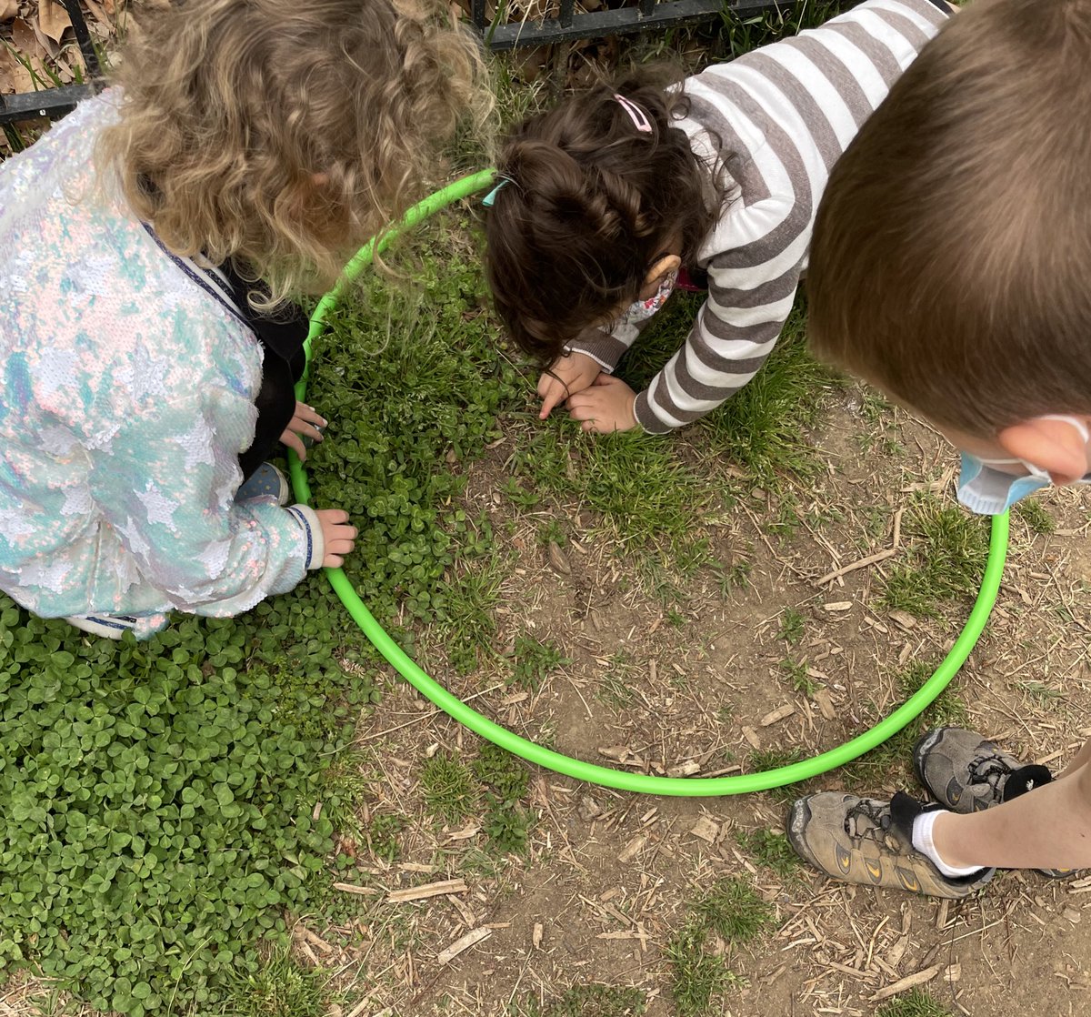 eduKatelittleDC's tweet photo. Where do you spot insects at your school? https://t.co/IL0XNsZg6B